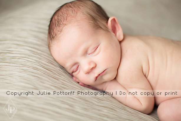 southern illinois newborn photography julie pottorff