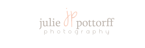 Julie Pottorff Photography | Southern IL Wedding & Portrait Photographer logo